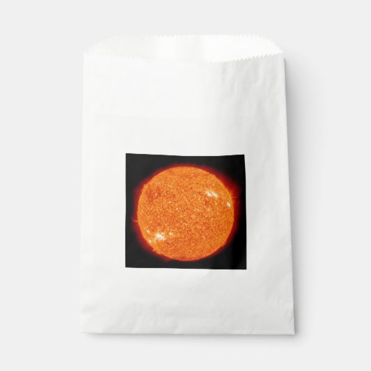 太陽 フェイバーバッグ (正面)