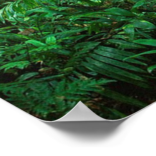 太陽 ポスター (角)