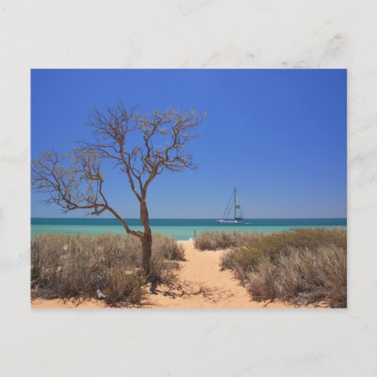 太陽、海、砂 – Monkey Mia West Australia ポストカード (正面)