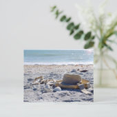 太陽、砂、ビーチ、休暇 ポストカード (スタンド正面)