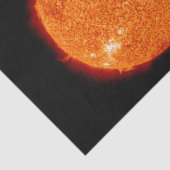 太陽 薄葉紙 (詳細)