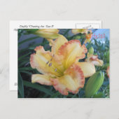 太陽IIの追いかけ、太陽IIの追いかけ ポストカード (正面/裏面)