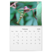 太陽Touch カレンダー (2月 2026)