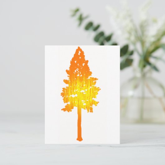 太陽touch ポストカード (スタンド正面)