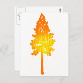 太陽touch ポストカード (正面/裏面)