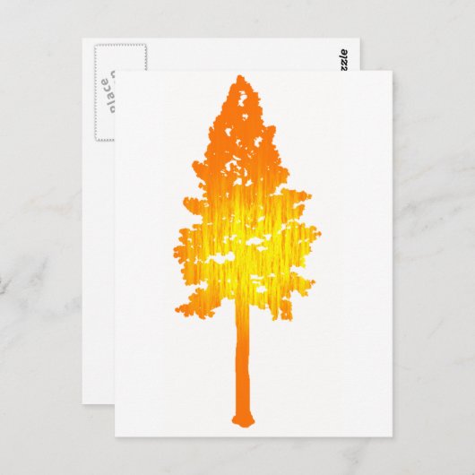 太陽touch ポストカード (正面/裏面)