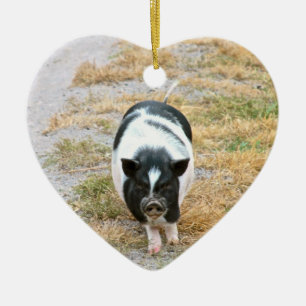 太鼓腹のブタ のかわいい家畜の写真 セラミックオーナメント