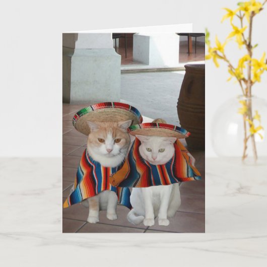 夫おもしろいスペインの妻の猫誕生日 カード (黄色い花)