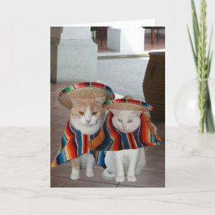 夫おもしろいスペインの妻の猫誕生日 カード
