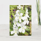 夫からの母の日カード カード (正面)