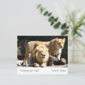 「夫と妻」著者：トッド・D・マーティン ポストカード (スタンド正面)