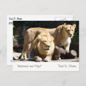 「夫と妻」著者：トッド・D・マーティン ポストカード (正面/裏面)