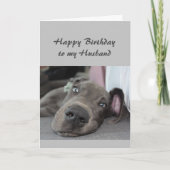 夫のおもしろい犬のユーモアへのリラックス誕生日 カード (正面)