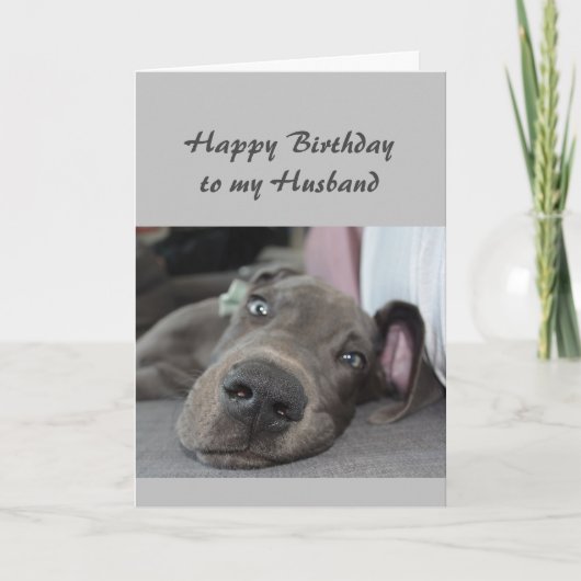 夫のおもしろい犬のユーモアへのリラックス誕生日 カード (正面)