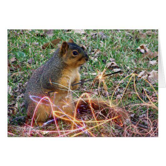 夫のアニバーサリーラブリスのスパーカー (正面横)