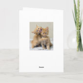 夫のハッピーバースデーのオレンジの子ネコ カード (裏面)