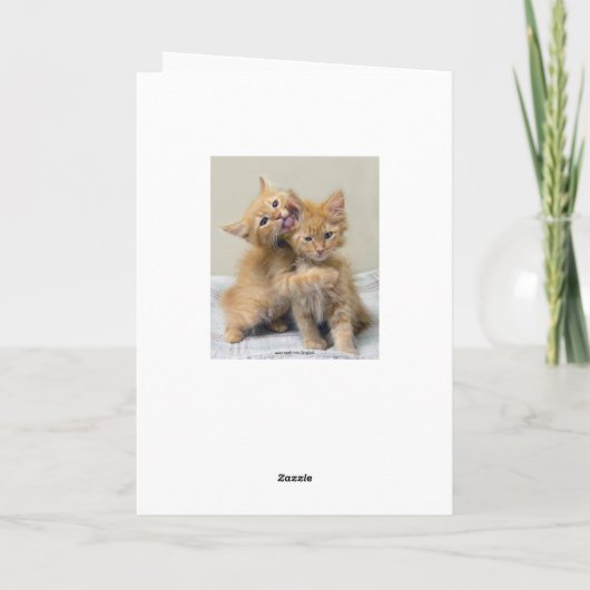 夫のハッピーバースデーのオレンジの子ネコ カード (裏面)