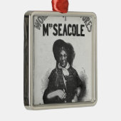 夫人のSeacole'すばらしい冒険 メタルオーナメント (右)