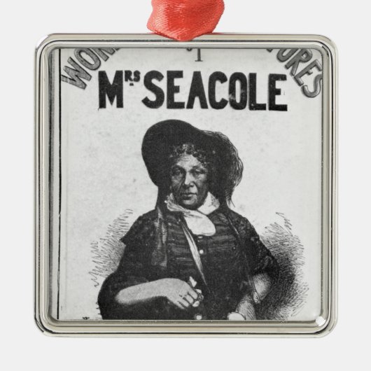 夫人のSeacole'すばらしい冒険 メタルオーナメント (正面)