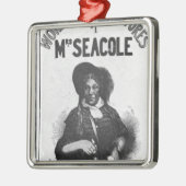 夫人のSeacole'すばらしい冒険 メタルオーナメント (左)