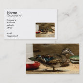 夫人アメリカオシ 名刺 (正面/裏面)