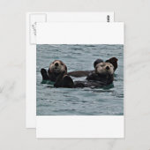 夫婦 ポストカード (正面/裏面)