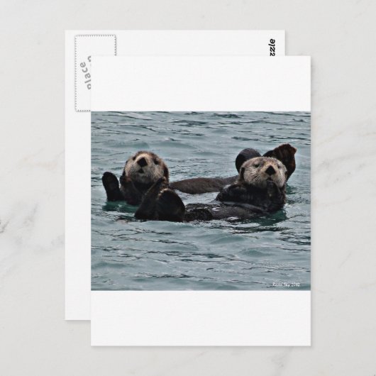 夫婦 ポストカード (正面/裏面)