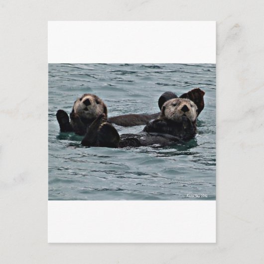 夫婦 ポストカード (正面)