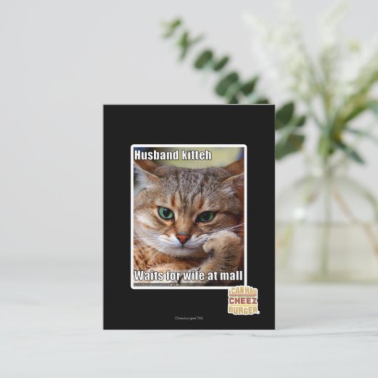 夫・キテー ポストカード (スタンド正面)