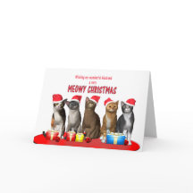 夫、クリスマスの帽子の猫