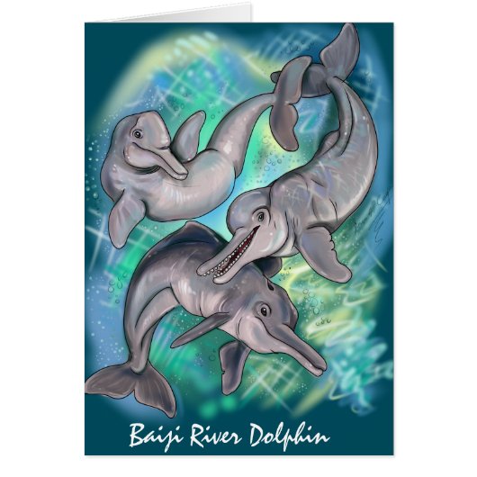 失ったエコーバイジリバードルフィン (正面)