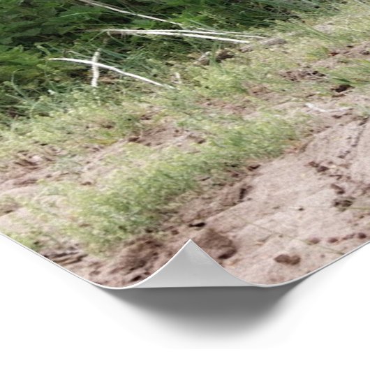 失った忘れ ポスター (角)