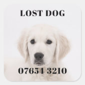 失った犬 スクエアシール (正面)