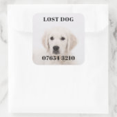 失った犬 スクエアシール (バッグ)