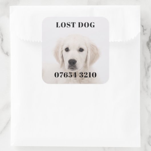 失った犬 スクエアシール (バッグ)