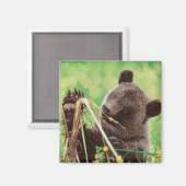 失った疑問に思 マグネット (正面/裏面)