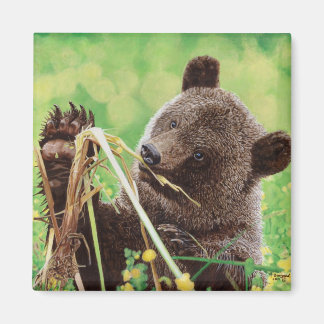 失った疑問に思 マグネット