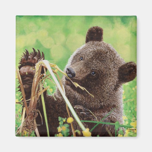 失った疑問に思 マグネット (正面)