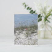 失った砂丘で ポストカード (スタンド正面)