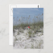 失った砂丘で ポストカード (正面/裏面)