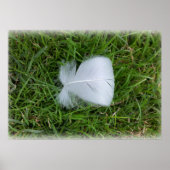 失った羽 ポスター (正面)