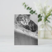 失った ポストカード (スタンド正面)