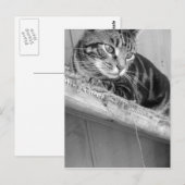 失った ポストカード (正面/裏面)