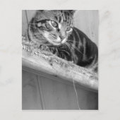 失った ポストカード (正面)