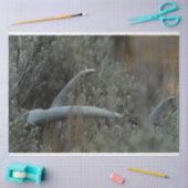 失った〔雄ジカの〕枝角 薄葉紙 (クラフト)