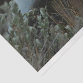 失った〔雄ジカの〕枝角 薄葉紙 (詳細)