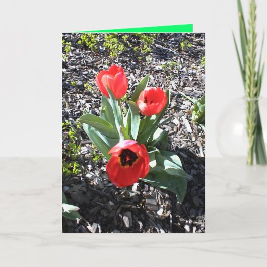 失わせた人のためのキリスト教のクリスマスカード シーズンカード (正面)