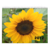 失敗のモーリーの写真撮影のカレンダー カレンダー (カバー)