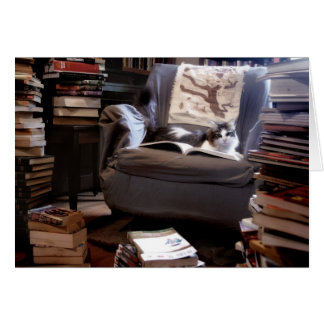 失敗の子猫の蔵書