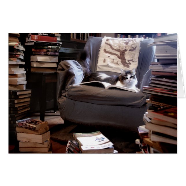 失敗の子猫の蔵書 (正面横)